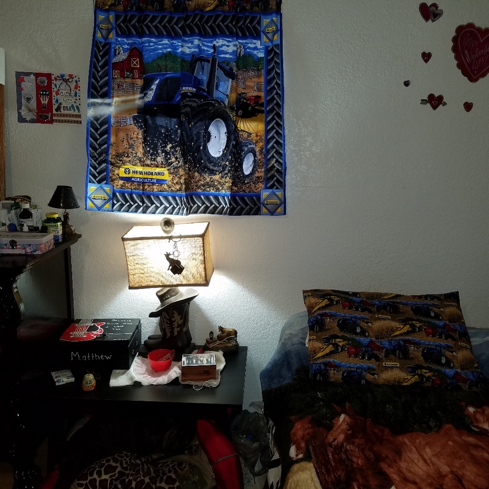Curtain&pillow Set / Case/boys room